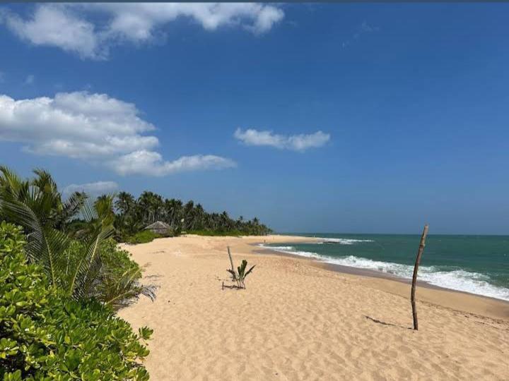 Hotel Golden Bell Tangalle Exterior photo