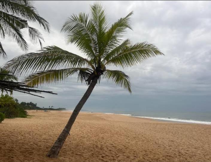 Hotel Golden Bell Tangalle Exterior photo