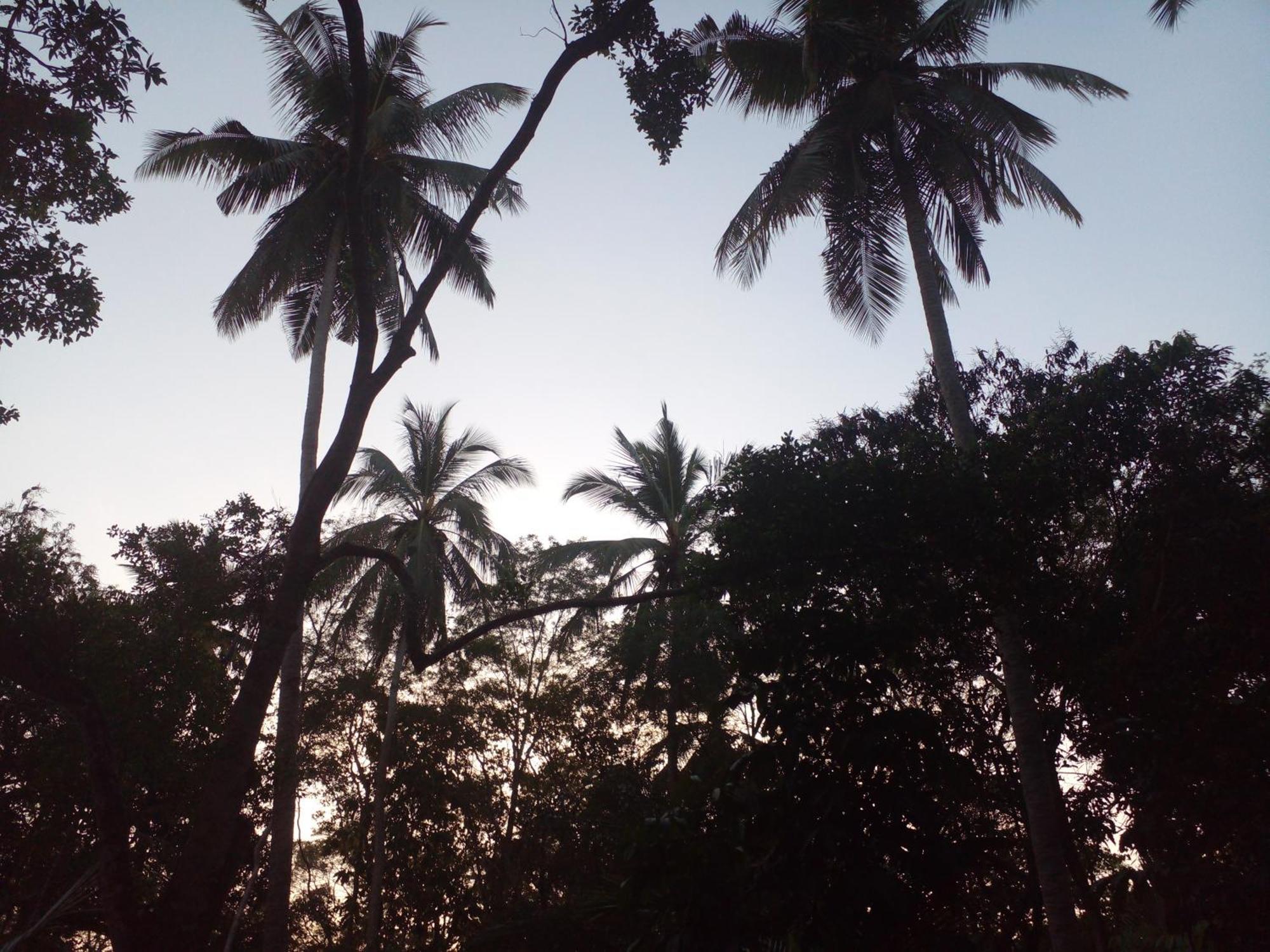 Hotel Golden Bell Tangalle Exterior photo